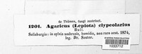Image Associated With the Occurence